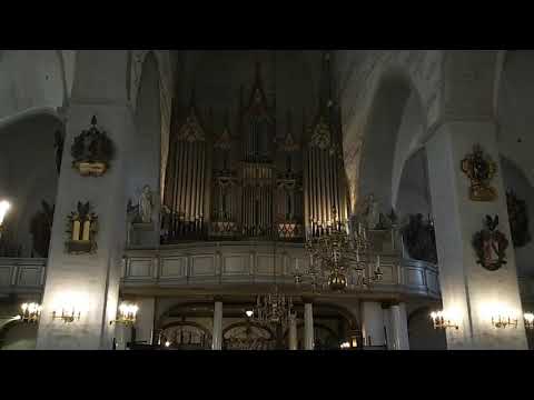 Talliner Dom - Orgelspiel